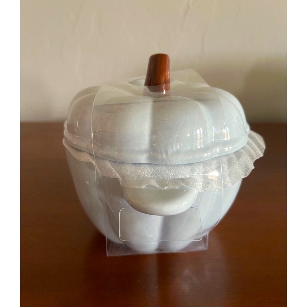 💙Light Baby Blue Festive Fall Thanksgiving Pumpkin Ceramic Casserole Cocotte💙 - Picture 3 of 8